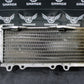 2005 Kawasaki KX250F OEM Left Right Radiator Set Cooler Radiator 39061 - 0045 - hggarage