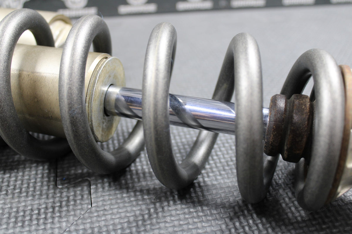 47876249