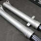 2002 YAMAHA TTR125 TTR125E OEM RIGHT LEFT FRONT SUSPENSION FORKS ASSEMBLY