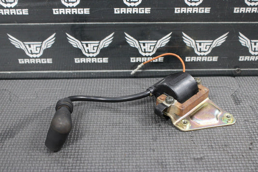 1997 YAMAHA RT100 OEM IGNITION COIL SPARK PLUG 355 - 82310 - 40 - 00 8DG - 82370 - 00 - 00 - hggarage